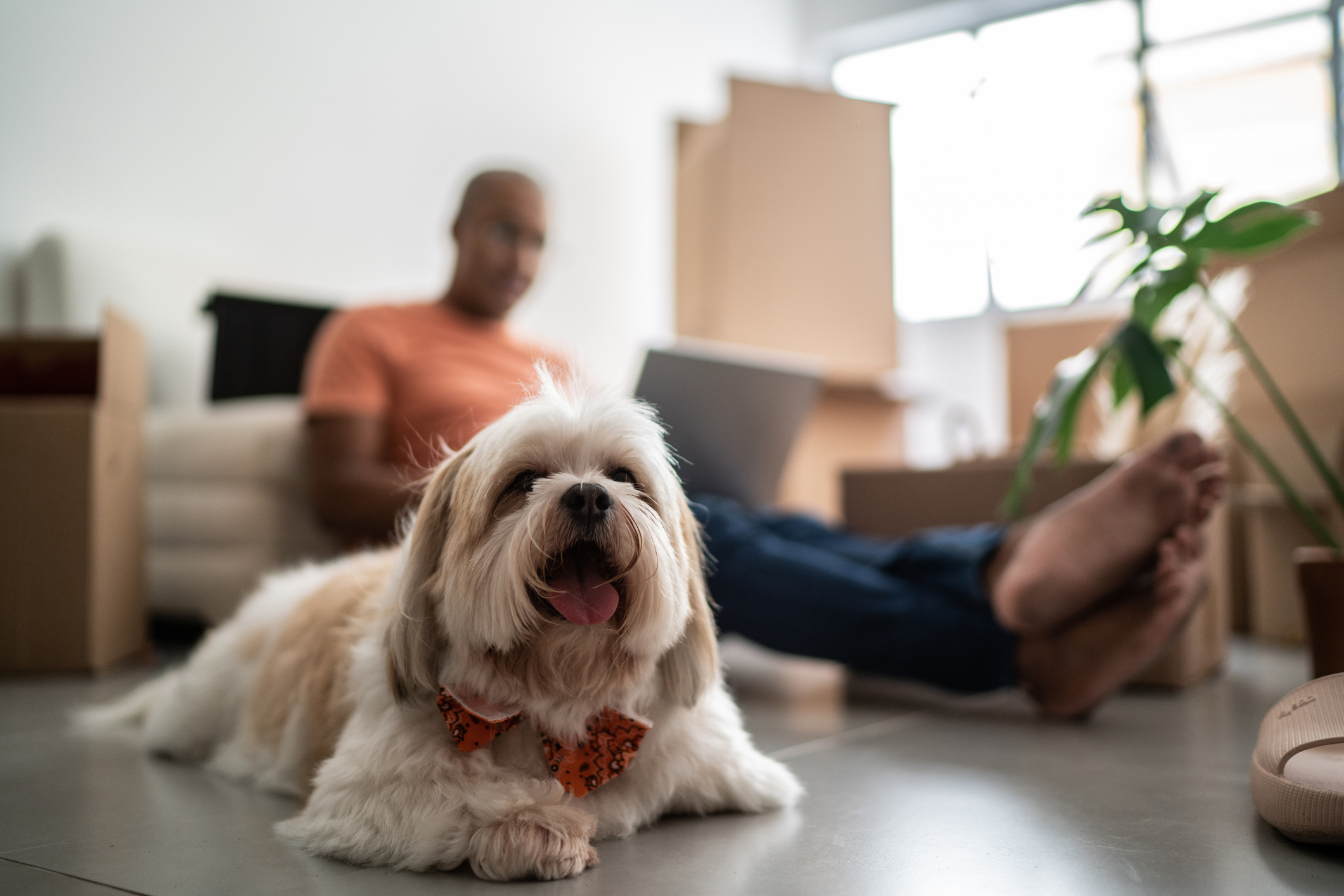 iStock 1397373579